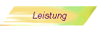 Leistung